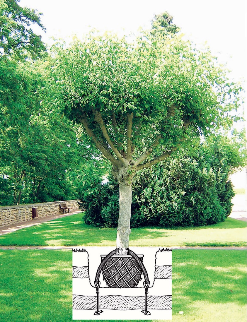 Kit D’ancrage Au Sol XDP Recreation – Fixation Sans Béton Pour Balançoire, Trampoline, Meuble De Jardin